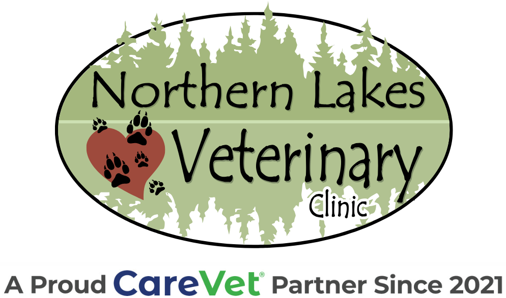 Paw Prints Animal Hospital Logo